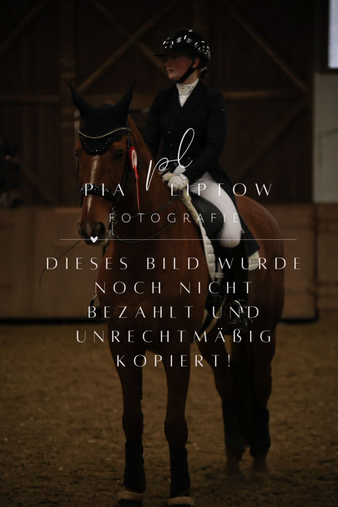 IMGT6462 | pl-fotografie