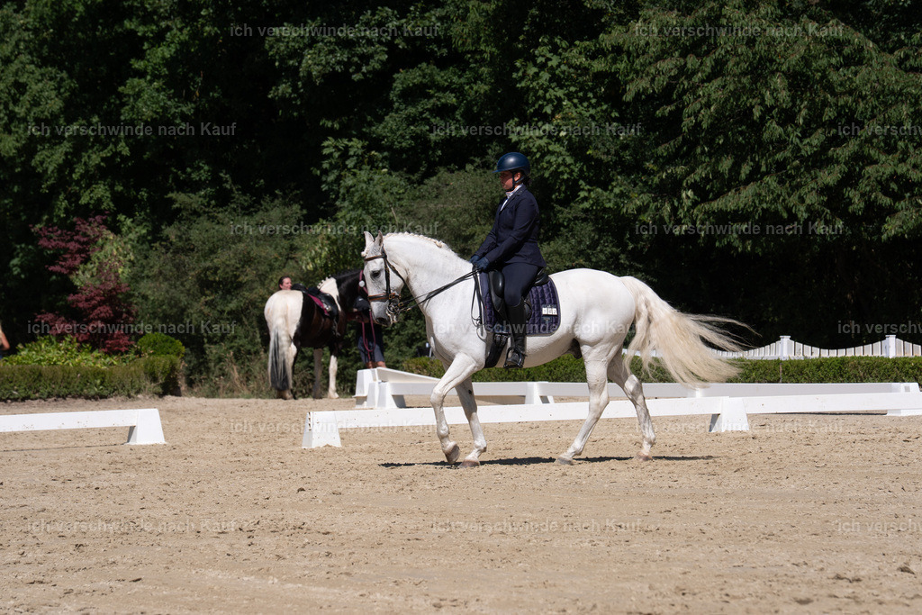 WS_DR_142_sinafilmart_IN09800 | working equitationturnier fotograf videograf stoibphotography marixx film working equitation deutschland reitsport turnierfotografie eventfotografie equestrian events