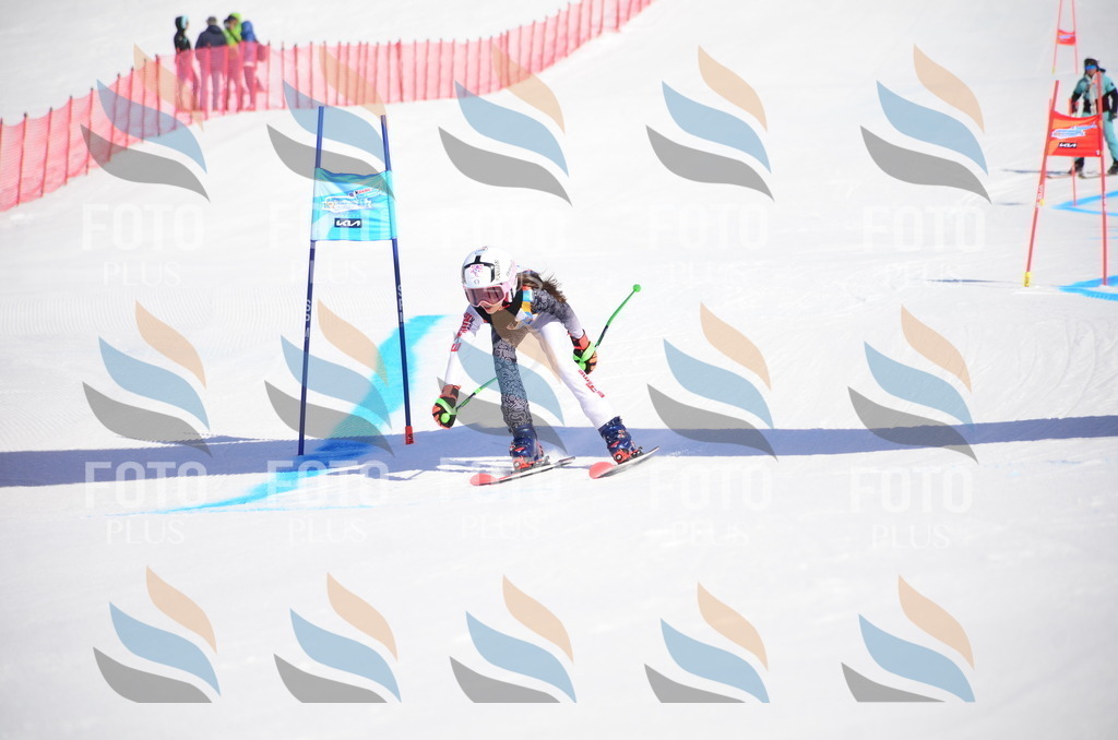 VR4_9260 | holidayphoto