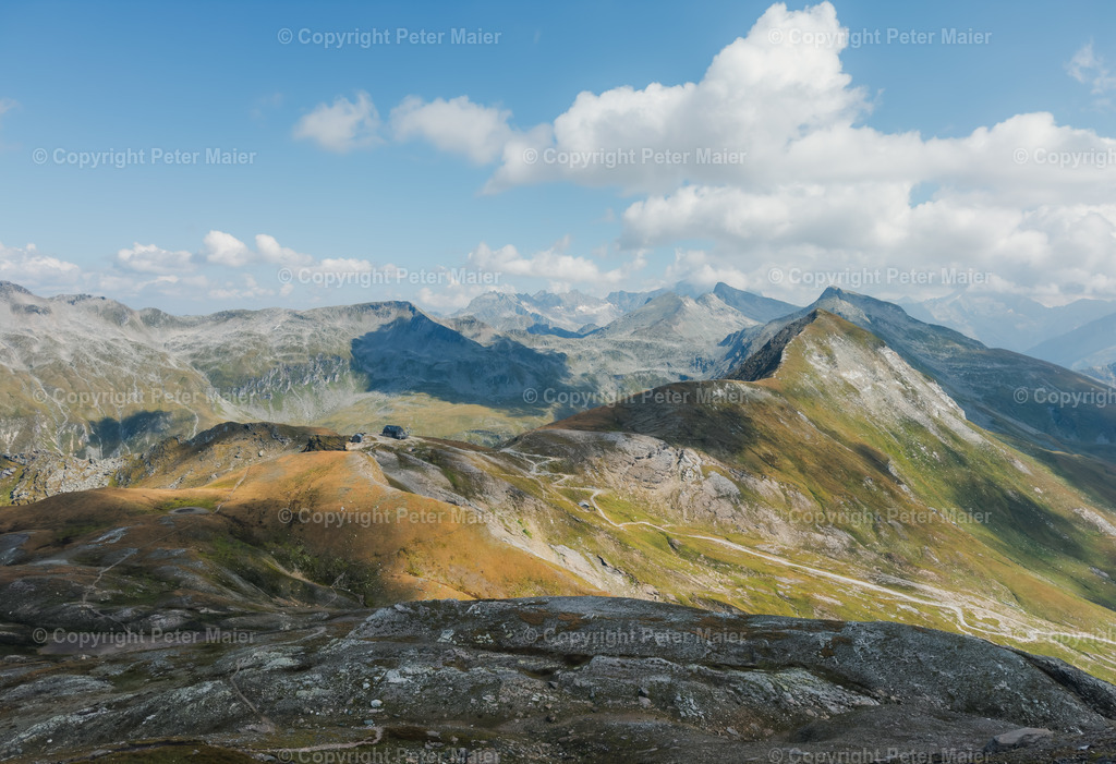 Vorderer_Geißelkopf-7 | piet_flosse