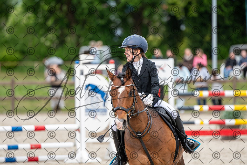 KPT_6355 | andre_photographic