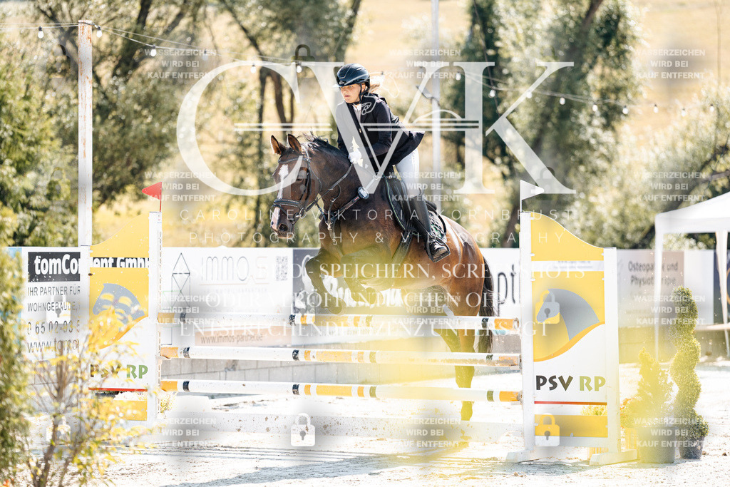 CK908386 | Turnierfotografie Pferdefotografie Trier Rheinland-Pfalz Pferdesport Reitsport Tierfotografie Sportfotografie Pferdevideo Pferdevideografie Equestrianvideography equestrianphotography  - Realisiert mit Pictrs.com