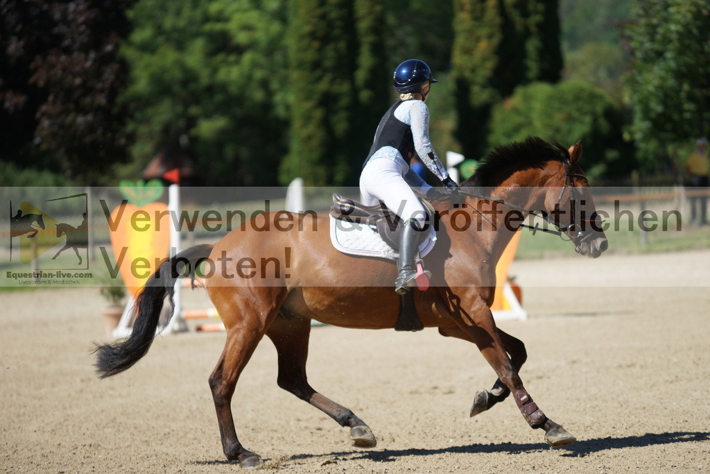 DSC07684 | equestrian-live-com