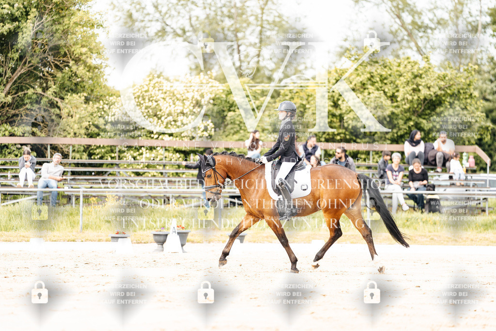 CK900832 | Turnierfotografie Pferdefotografie Trier Rheinland-Pfalz Pferdesport Reitsport Tierfotografie Sportfotografie Pferdevideo Pferdevideografie Equestrianvideography equestrianphotography  - Realisiert mit Pictrs.com