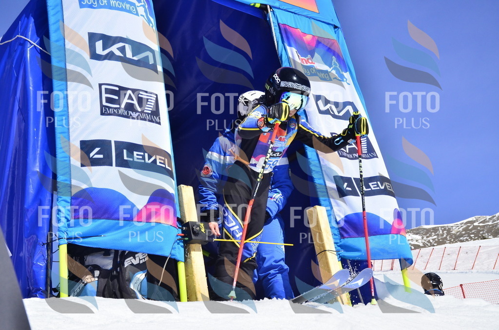 _ELE0218 | holidayphoto