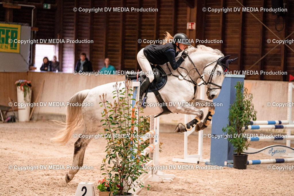 Springen Tag 2-458 | dv-media-shop - Realisiert mit Pictrs.com