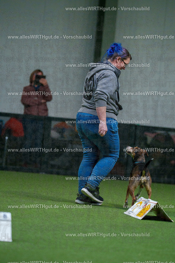 7R503836 | Professionelle Tierfotografie in Mönchengladbach von Daniel Wirth (allesWIRTHgut). Liebevolle & natürliche Bilder von Hunden & Katzen für unvergessliche Erinnerungen.