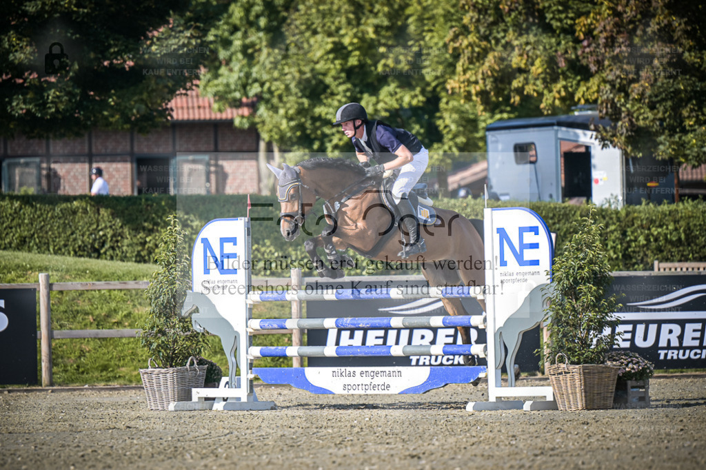 DOS_3497 | Entdecke hochwertige Reitturnierfotos von Foto Oger. Professionell, emotional und authentisch – jetzt Lieblingsmomente im Shop bestellen. - Realisiert mit Pictrs.com