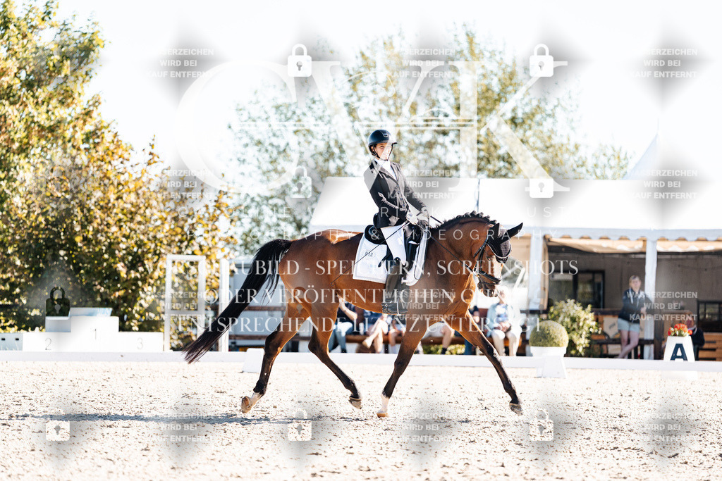CK908607 | Turnierfotografie Pferdefotografie Trier Rheinland-Pfalz Pferdesport Reitsport Tierfotografie Sportfotografie Pferdevideo Pferdevideografie Equestrianvideography equestrianphotography  - Realisiert mit Pictrs.com