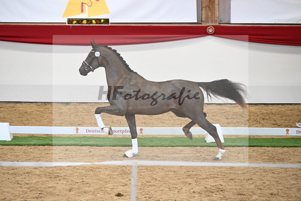 Kat.-Nr. 47 v. Damontez_Pfefferle_2250116 | hf-fotografie - Realisiert mit Pictrs.com