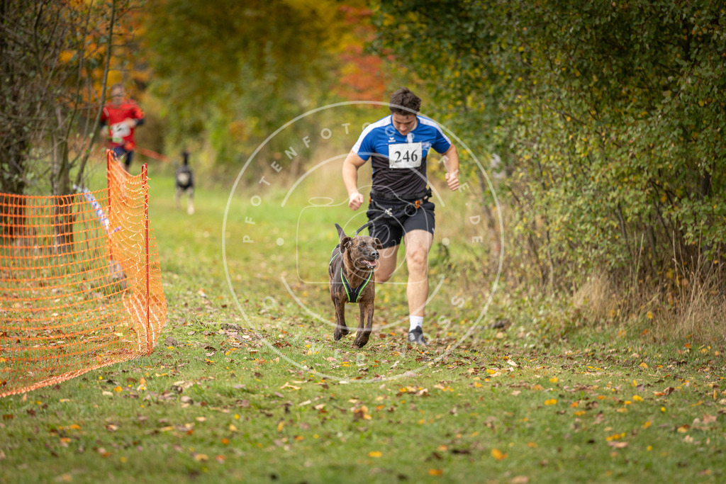 Pfotenfotografie_DV3A4200 | Hundefotografie, Tierfotograf, Pfotenfotografie, Fotoshooting Hund, Hunde Portrait, Hundesport, Hundeportraits, Heideshooting, Hunde, Sportfotograf, Hundefotograf, Turnierhundsport, THS,  - Realisiert mit Pictrs.com