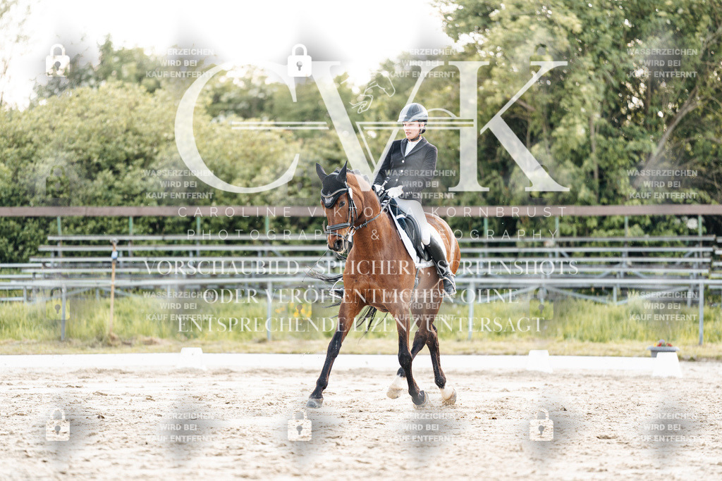 CK909811 | Turnierfotografie Pferdefotografie Trier Rheinland-Pfalz Pferdesport Reitsport Tierfotografie Sportfotografie Pferdevideo Pferdevideografie Equestrianvideography equestrianphotography  - Realisiert mit Pictrs.com