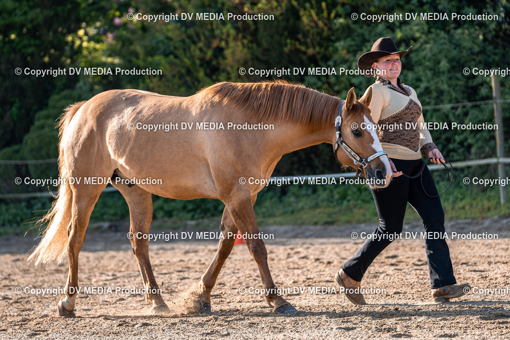 Balingen Tag 4-49 | dv-media-shop - Realisiert mit Pictrs.com