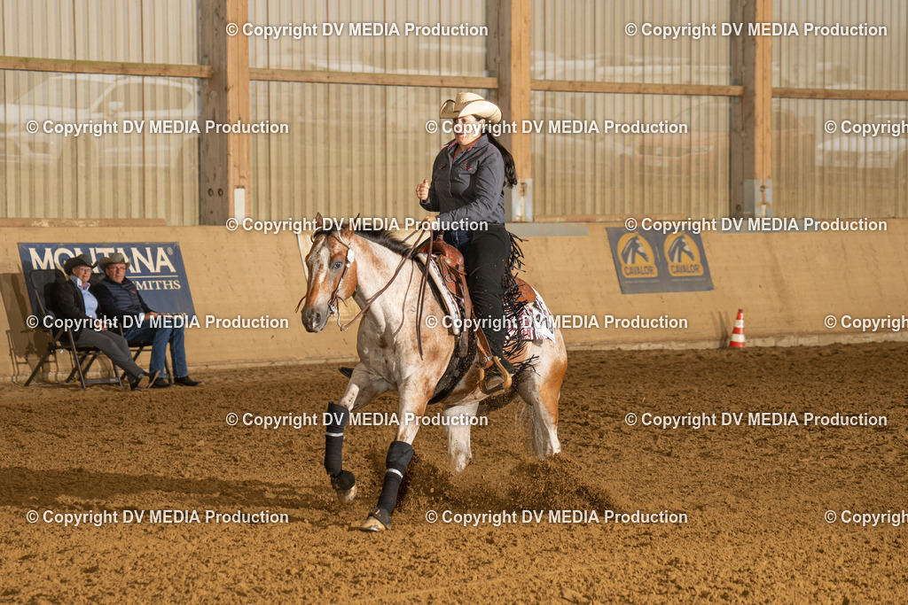 LAU00417 | dv-media-shop - Realisiert mit Pictrs.com