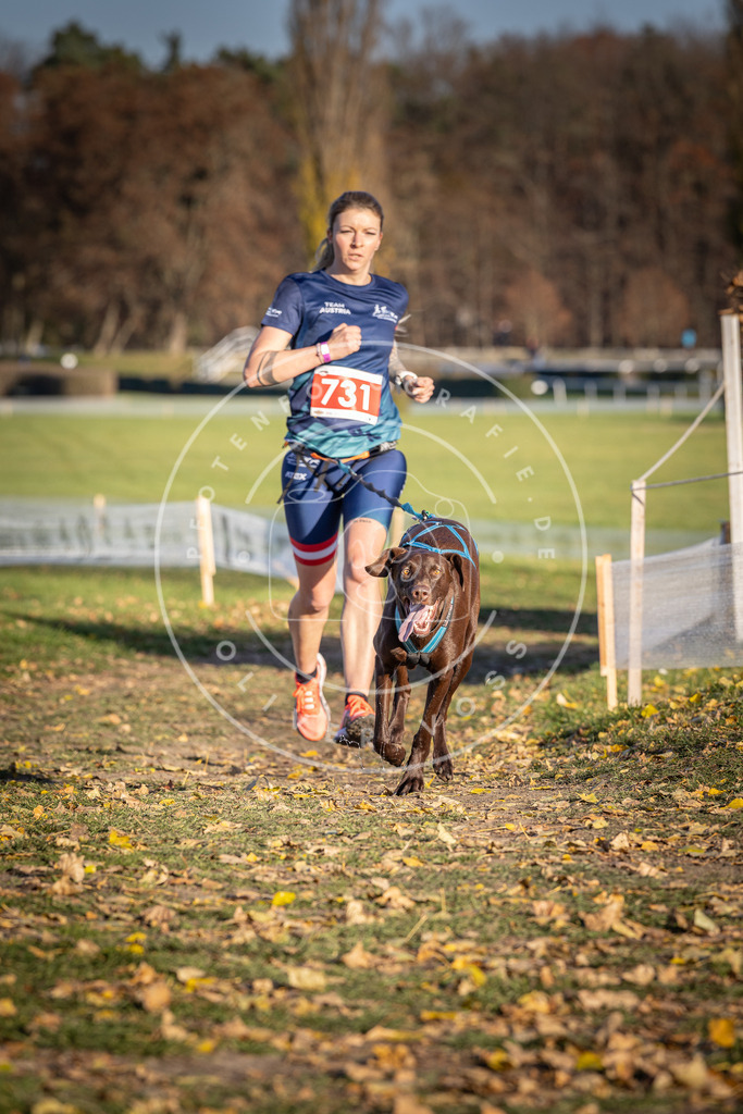 CaniXpix_DV3A2055 | Hundefotografie, Tierfotograf, Pfotenfotografie, Fotoshooting Hund, Hunde Portrait, Hundesport, Hundeportraits, Heideshooting, Hunde, Sportfotograf, Hundefotograf, Turnierhundsport, THS,  - Realisiert mit Pictrs.com
