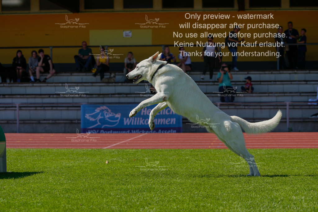 Sonntag_VK Hindernis (308 von 671) | stephaniefillaphotographie - Realisiert mit Pictrs.com