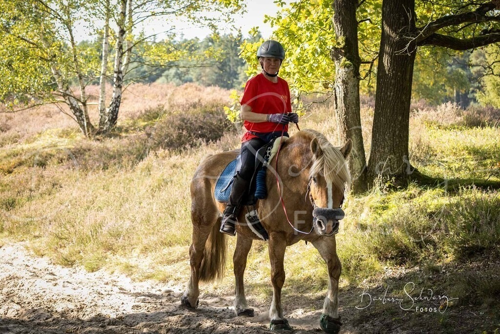 DdLH-Sudermuehlen_2025-09-20_79 | Fotografie, Veranstaltungs-Fotografie, Pferde-Fotografie, Landschafts-Fotografie, Reise-Fotografie - Realisiert mit Pictrs.com