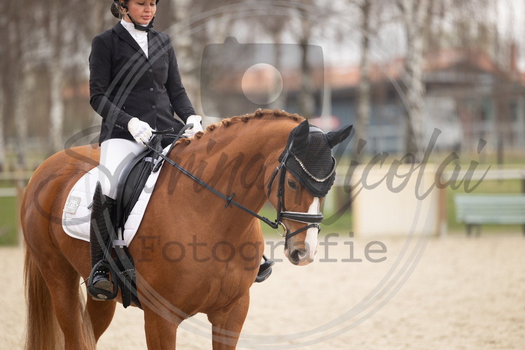 994A8694 | sabrinanicolaifotografie - Realisiert mit Pictrs.com