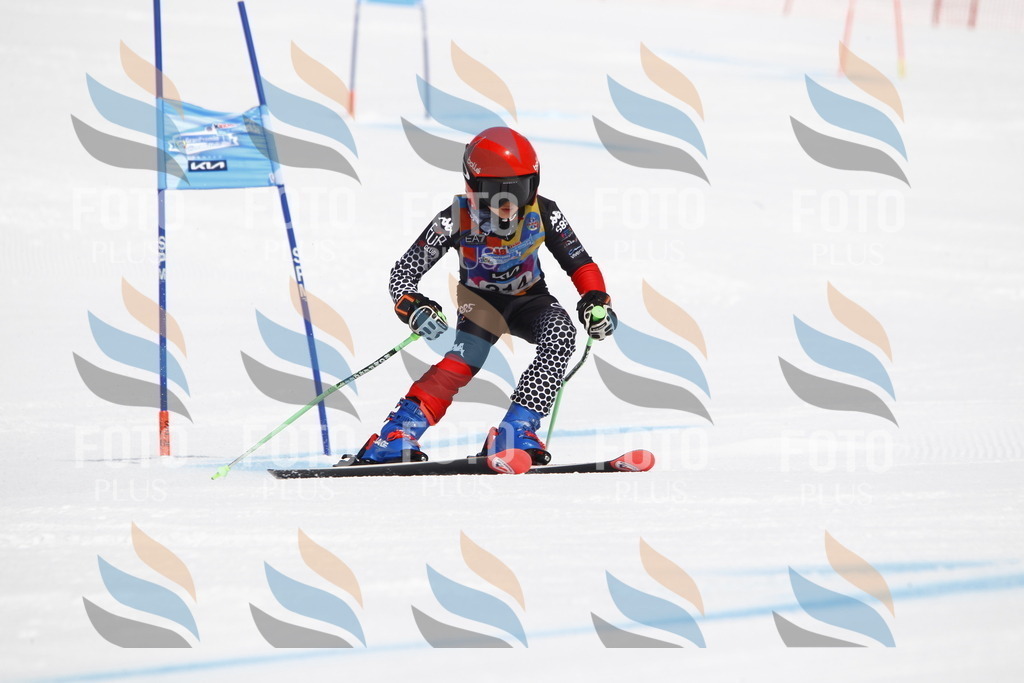 _U3G4901 | holidayphoto