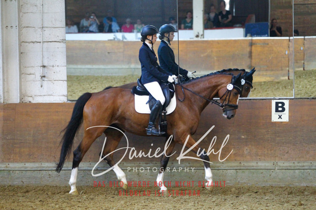 DKP43755 | Turniersportfotografie; Pferdefotografie; Dressurfotografie