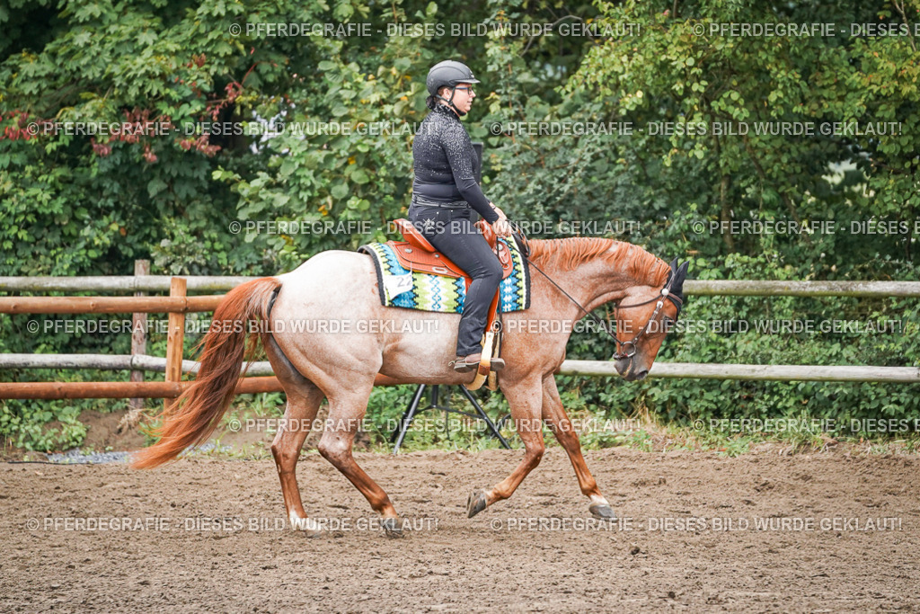 DSC02009 | Pferdegrafie