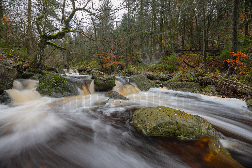 20231119152037 | Dieses faszinierende Bild zeigt einen Flusslauf in einem tiefen, bewaldeten Tal. Das Wasser fließt sanft über Felsen und Steine, wobei die lange Belichtungszeit einen beeindruckenden Schleier-Effekt erzeugt. Die umliegende Landschaft ist von dichtem Laubwald geprägt, der sich in warmen Herbstfarben präsentiert. Die Bäume bilden einen dichten Rahmen um den Fluss und verleihen der Szene eine besondere Tiefe. Es wirkt, als ob man in eine verborgene, friedliche Welt eintaucht. - Realisiert mit Pictrs.com