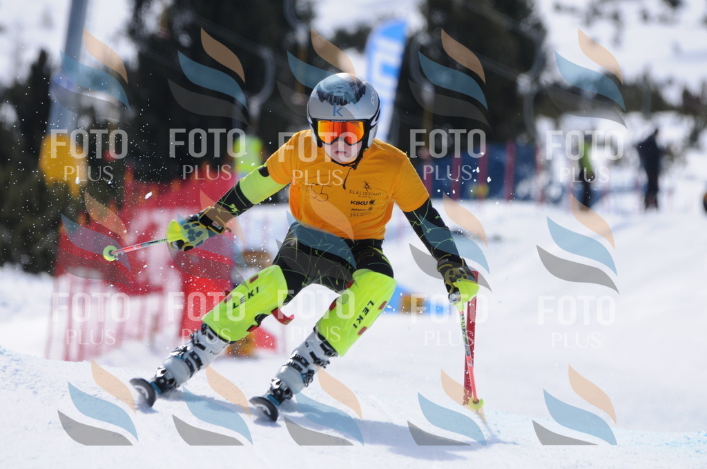 C9388 | holidayphoto