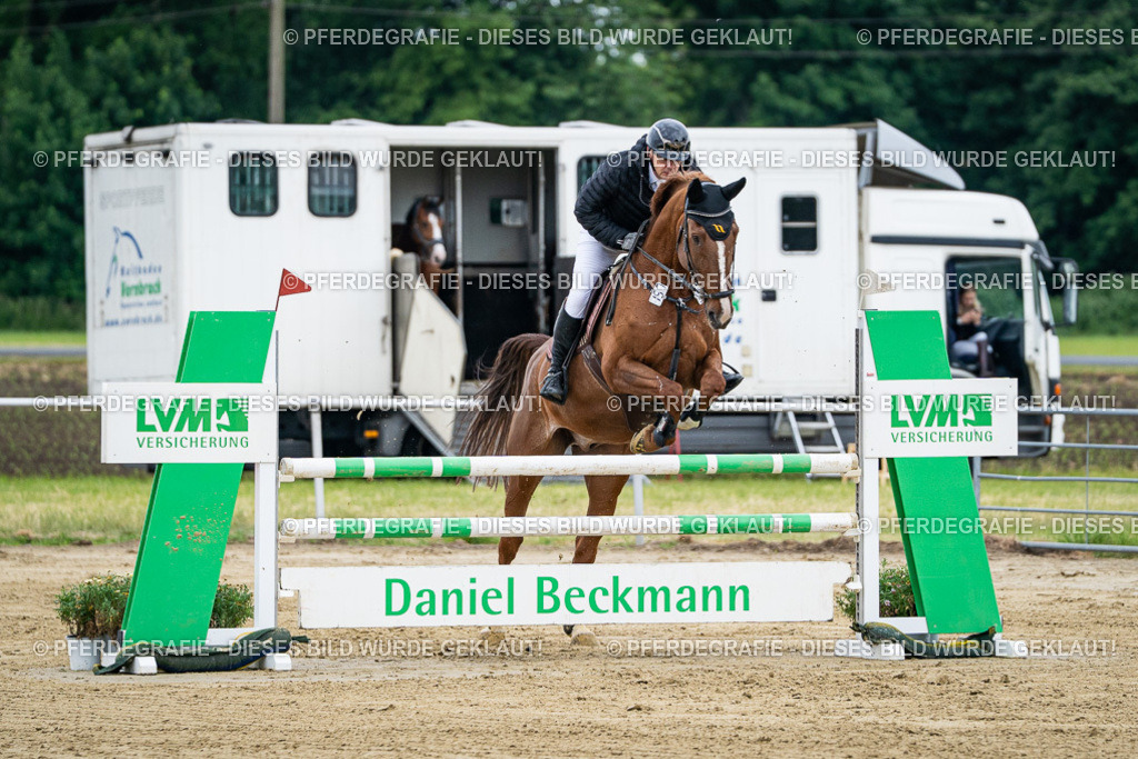 DSC05842 | Pferdegrafie