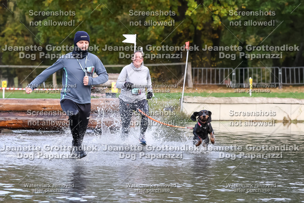Dog Paparazzi - Strongdog 10-25-6853 | Dog Paparazzi Jeanette Grottendiek Fotografie & Videografie - Realisiert mit Pictrs.com