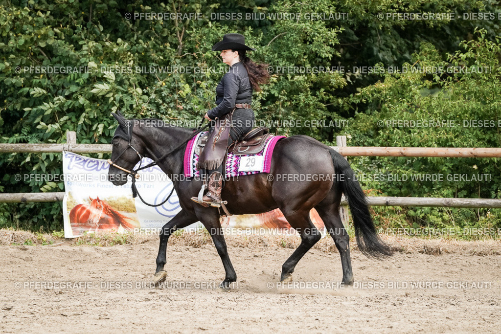 DSC09292 | Pferdegrafie