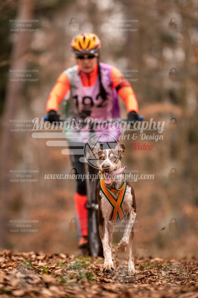 AKM_ST_2023_SAM_Scooter-78 | PayLife