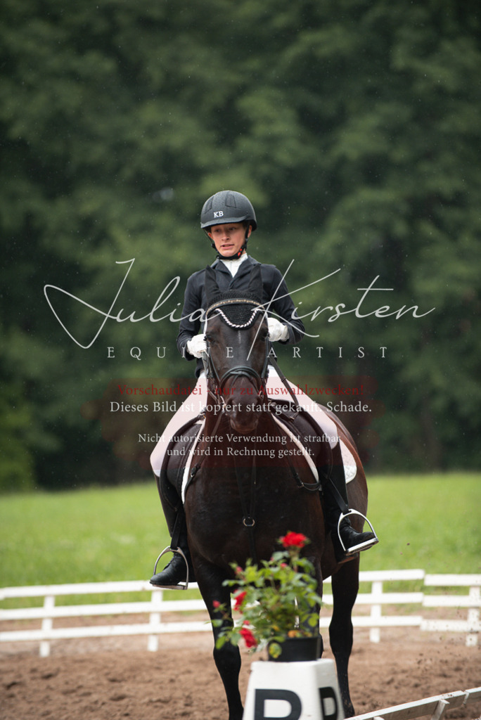 DSC_9941 | Pferde- und Turnierfotografie in Westsachsen. Pferdeportraits, Auftragszeichnungen und intuitive Kunst.