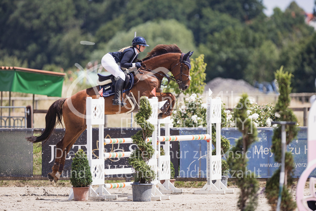 250629_PfSpTa_L-Spr2-428 | Deine schönsten Turniermomente als professionelle Fotos! Entdecke hochwertige Pferdesport-Fotografie im Online-Shop. Jetzt Fotos finden & bestellen!