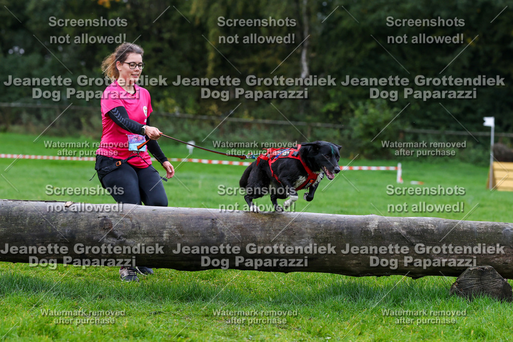 Dog Paparazzi -  SD1026-1283 | Dog Paparazzi Jeanette Grottendiek Fotografie & Videografie - Realisiert mit Pictrs.com
