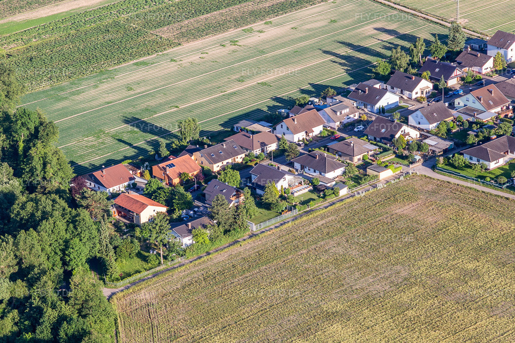 Luftbild: Waldstraße in Erlenbach bei Kandel im Bundesland Rheinland-Pfalz in Deutschland. Foto: IMG_115090.jpg vom 13.06.2019 durch Werner Riehm/FLY-FOTO.de