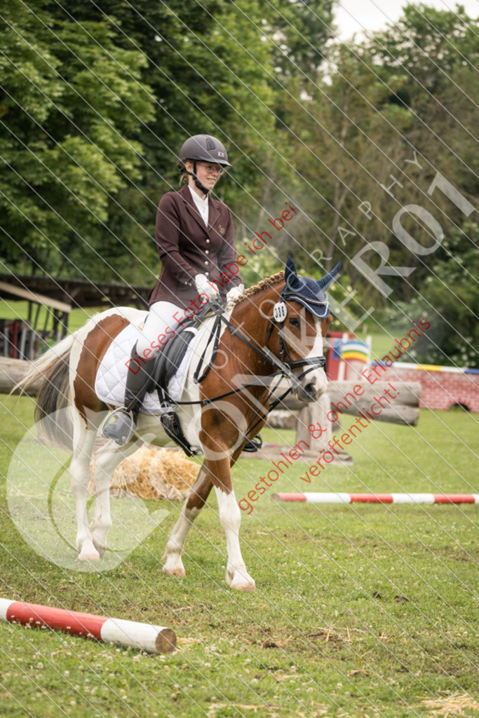 IMG_8351 | Sport-, Event- und Tierfotos in Profiqualität. Einfach auswählen, bestellen und herunterladen. Dein Moment – perfekt festgehalten.