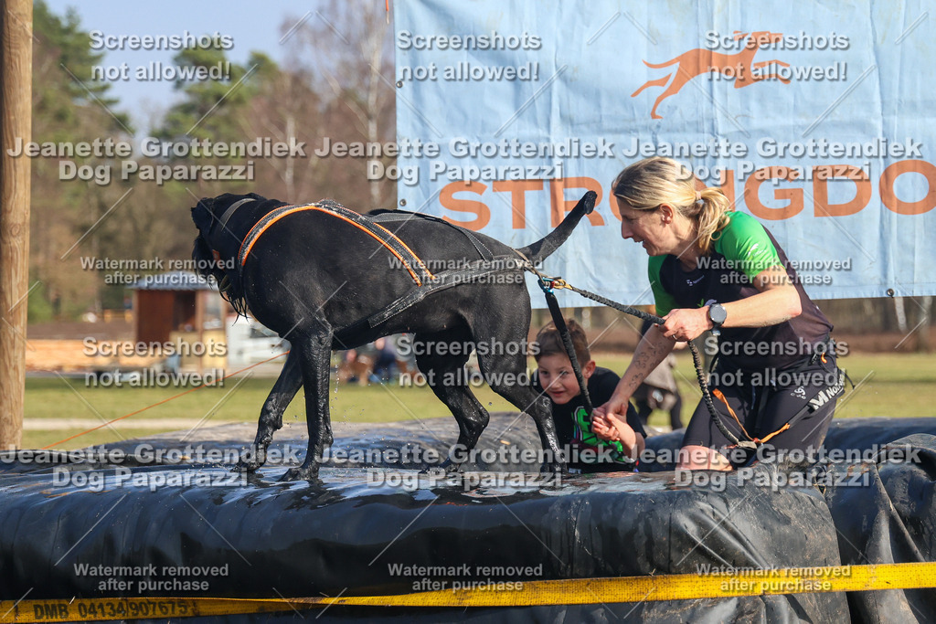 Dog Paparazzi - Strongdog North Mrz26-2755 | Dog Paparazzi Jeanette Grottendiek Fotografie & Videografie - Realisiert mit Pictrs.com