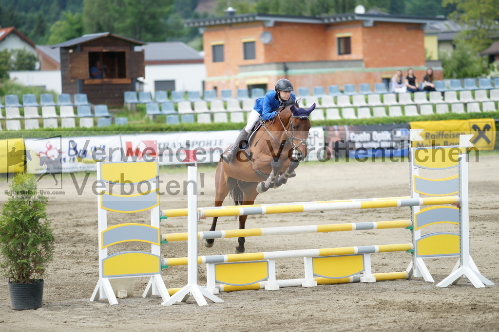 DSC05214 | equestrian-live-com