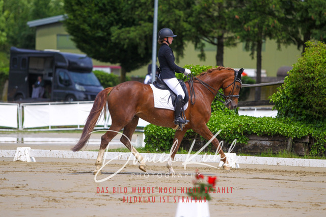 DKP40707 | Turniersportfotografie; Pferdefotografie; Dressurfotografie