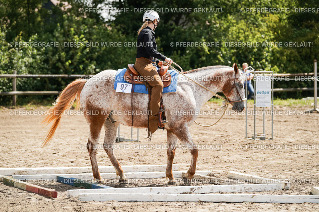 DSC06302 | Pferdegrafie