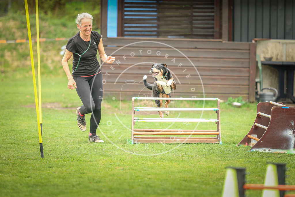 Pfotenfotografie_0L8A0049 | Hundefotografie, Tierfotograf, Pfotenfotografie, Fotoshooting Hund, Hunde Portrait, Hundesport, Hundeportraits, Heideshooting, Hunde, Sportfotograf, Hundefotograf, Turnierhundsport, THS,  - Realisiert mit Pictrs.com