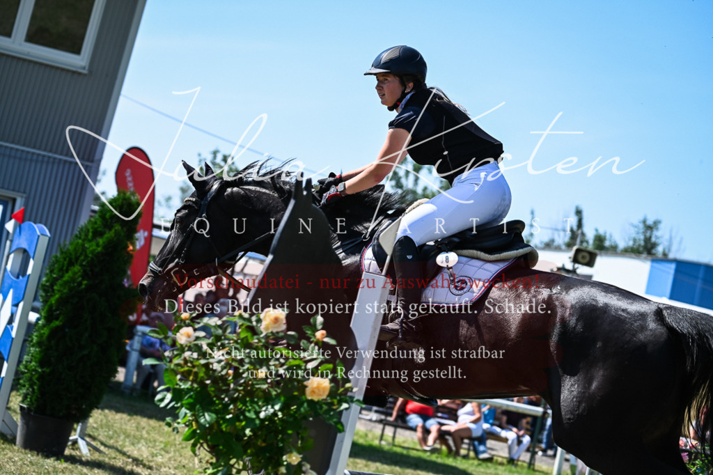 DSC_1342 | Pferde- und Turnierfotografie in Westsachsen. Pferdeportraits, Auftragszeichnungen und intuitive Kunst.