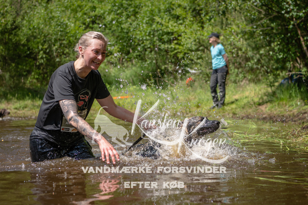 DK K991678141424 | kk-dogfotos
