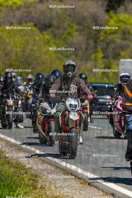 MSFotoServiceXXX432 | MSFotoService - Realisiert mit Pictrs.com