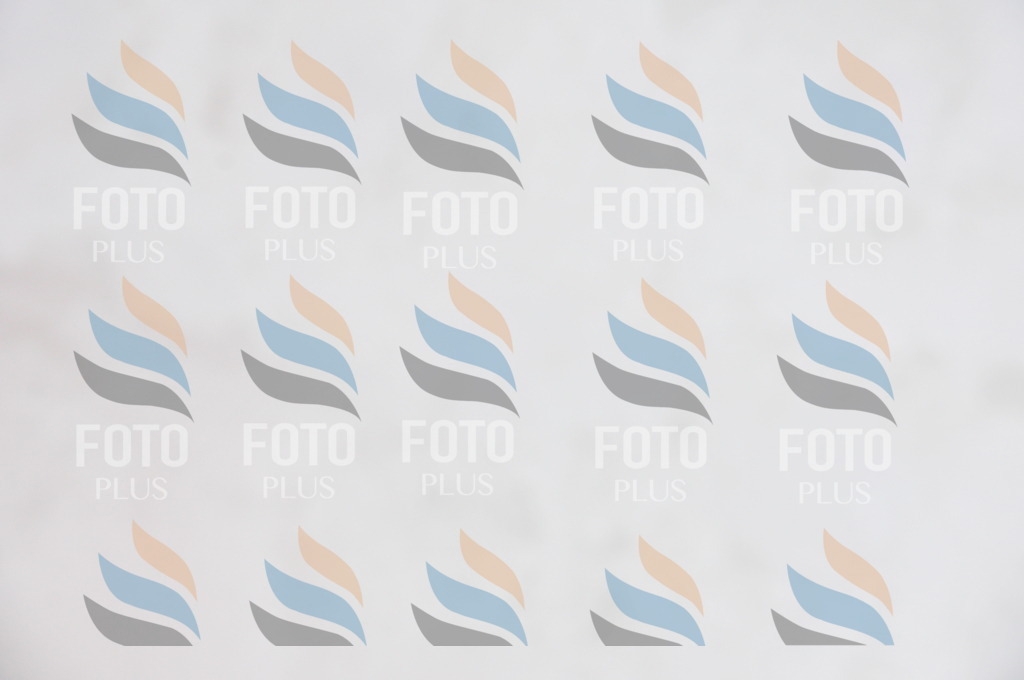 C1634 | holidayphoto