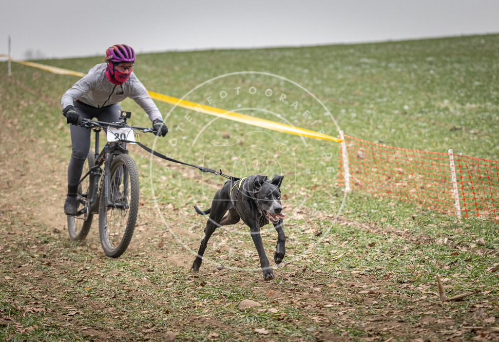 Pfotenfotografie_DV3A2311 | Hundefotografie, Tierfotograf, Pfotenfotografie, Fotoshooting Hund, Hunde Portrait, Hundesport, Hundeportraits, Heideshooting, Hunde, Sportfotograf, Hundefotograf, Turnierhundsport, THS,  - Realisiert mit Pictrs.com