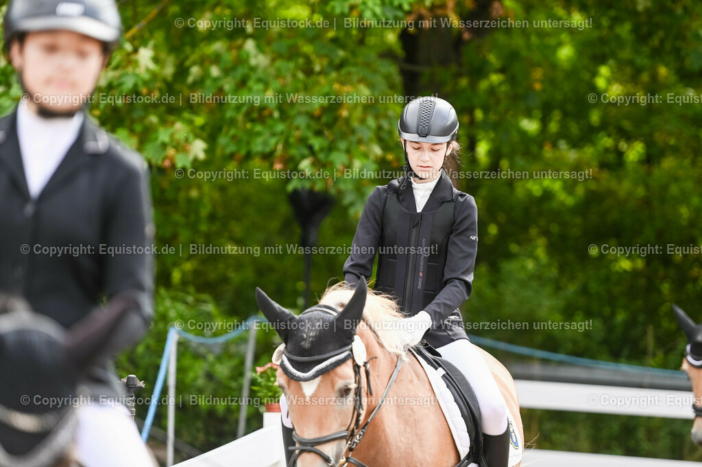 20230716_10-1_Reiter-WB Schritt - Trab - Galopp_0035 | equistock