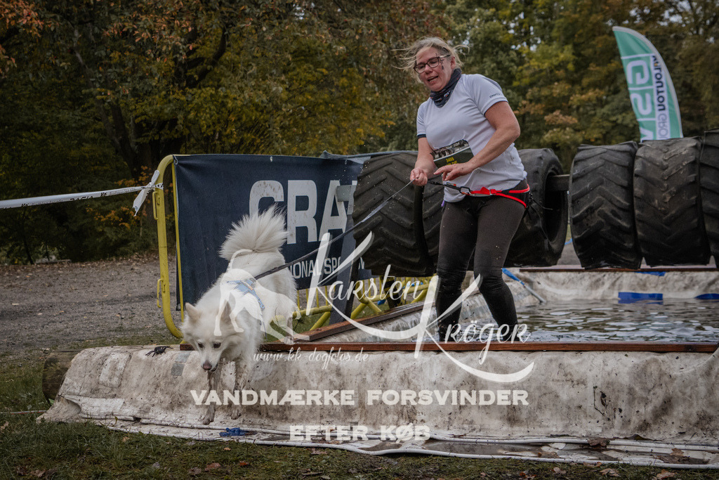 1616_ZZ92971 | kk-dogfotos