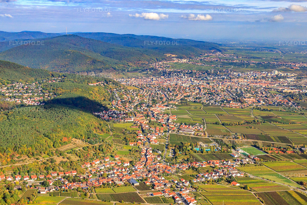 Luftbild: Stadtansicht am Haardtrand von Süden im Ortsteil Hambach an der Weinstraße in Neustadt im Bundesland Rheinland-Pfalz in Deutschland. Foto: IMG_22113.jpg vom 15.10.2009 durch Werner Riehm/FLY-FOTO.de