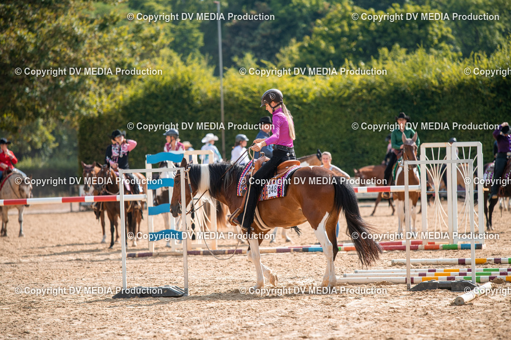 ZS2_7598 | dv-media-shop - Realisiert mit Pictrs.com